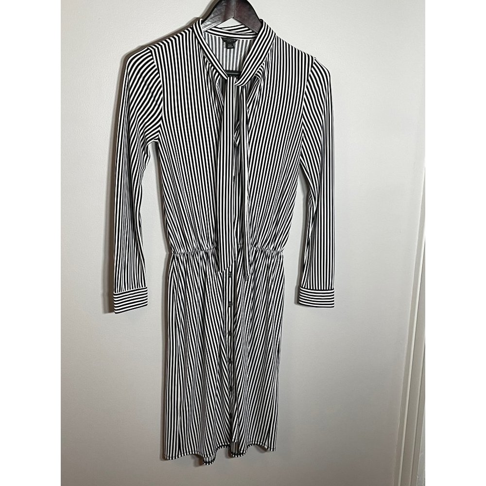 Pin Striped Dress XXSP